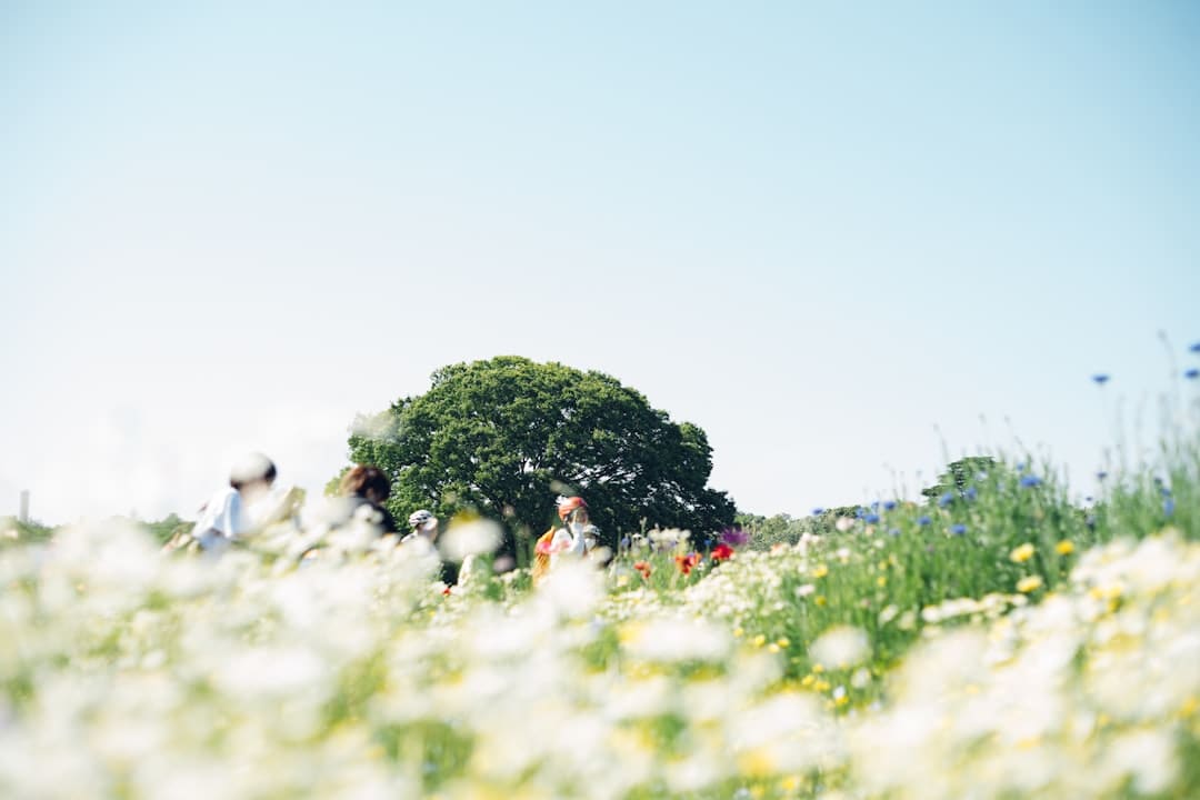 英专家:夏日变热或令欧洲用电顶峰由冬转夏,今夏热浪“巨大冲击”欧洲动力体系